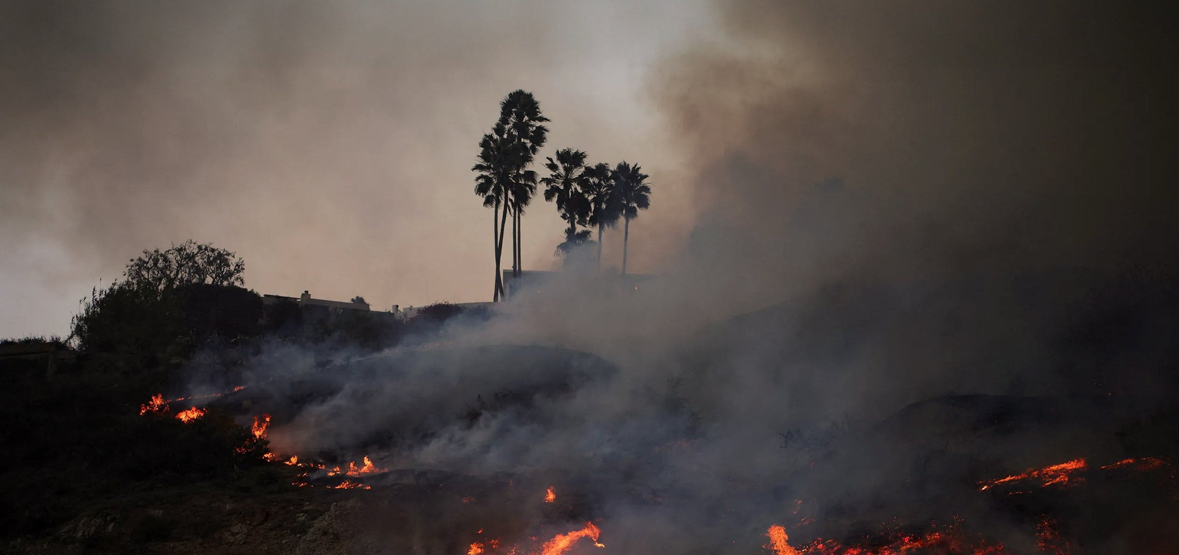 CALI WILDFIRE RELIEF